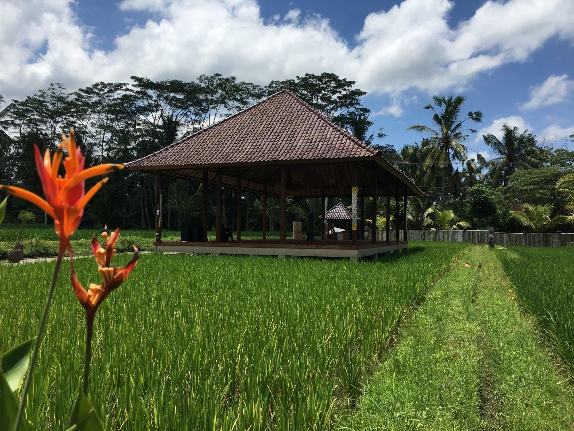 Santosha Villas & Spa Ubud Kültér fotó